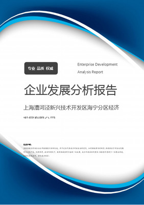 上海市徐匯區(qū)漕河涇開(kāi)發(fā)區(qū)企業(yè)名錄與網(wǎng)絡(luò)技術(shù)服務(wù)生態(tài)分析